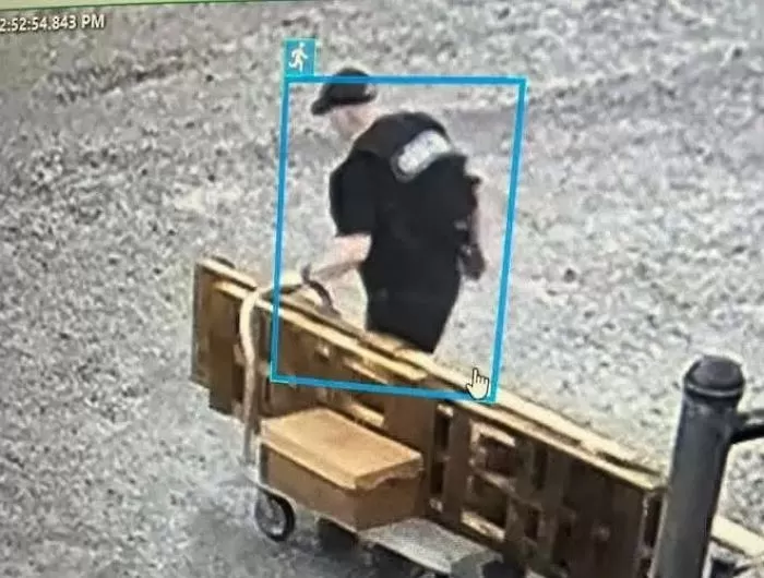 인사이트