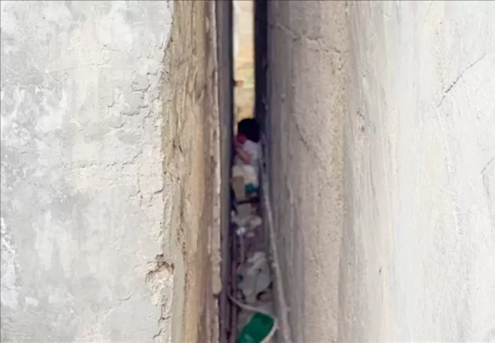 인사이트