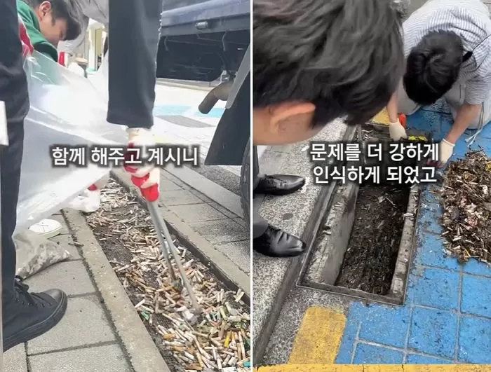인사이트