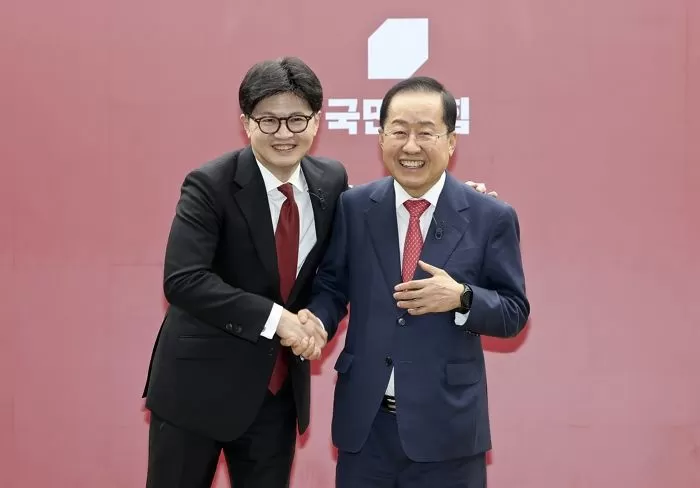 인사이트