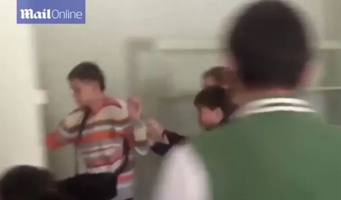 인사이트