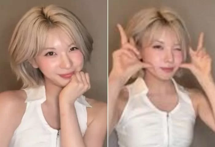 인사이트