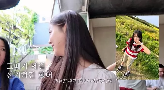 인사이트