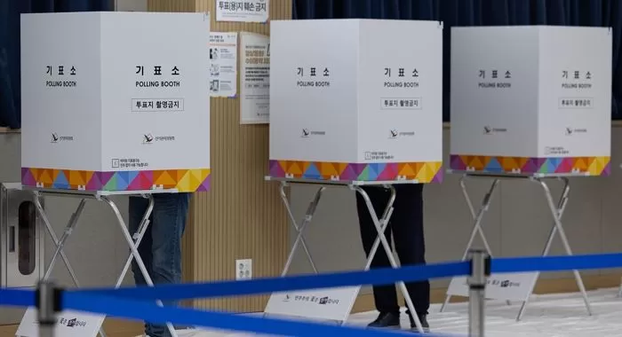 인사이트