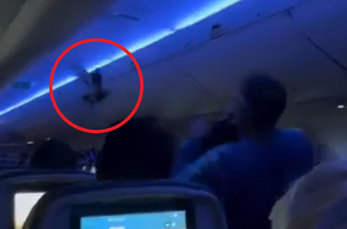 밀항 시도(?) 하다 붙잡힌 비둘기에 아수라장 된 비행기... 재킷 던지고 비명