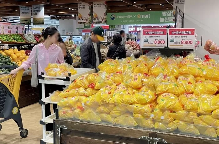 인사이트