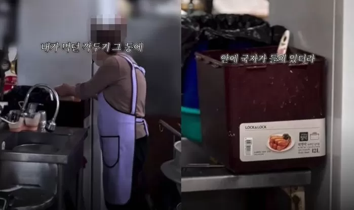 인사이트