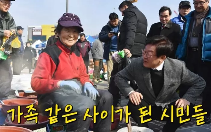 인사이트