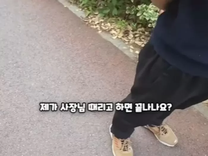 인사이트