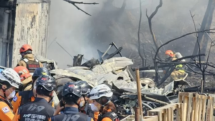 29일 오후 1시 35분쯤 경북 포항 남구 동해면 야산에 해군 해상 초계기 (P-3C)가 추락해 전소됐다. / 뉴스1