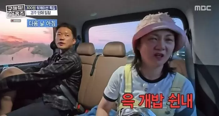 인사이트