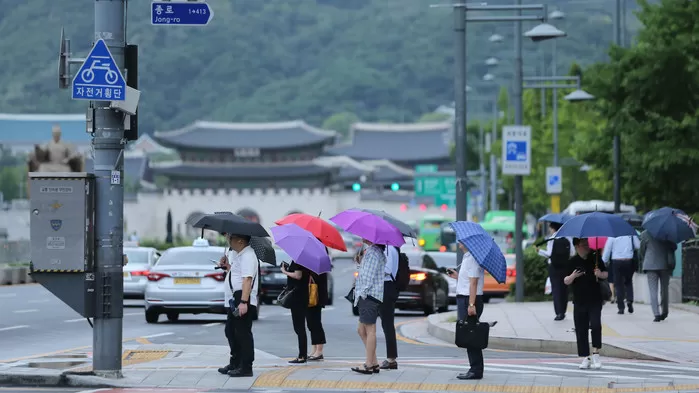 사진=인사이트