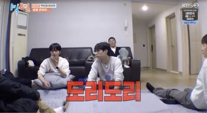 인사이트
