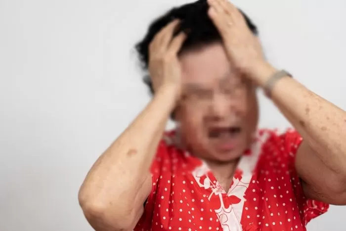 인사이트
