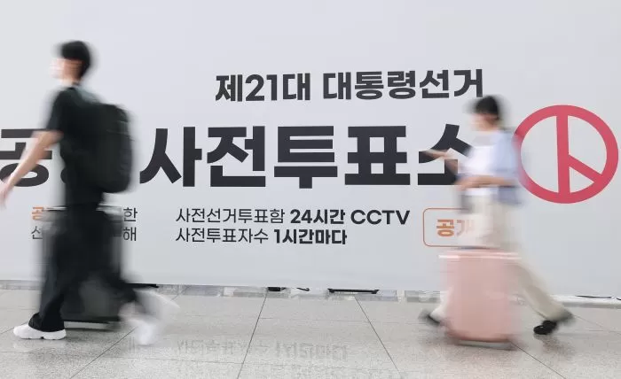 인사이트