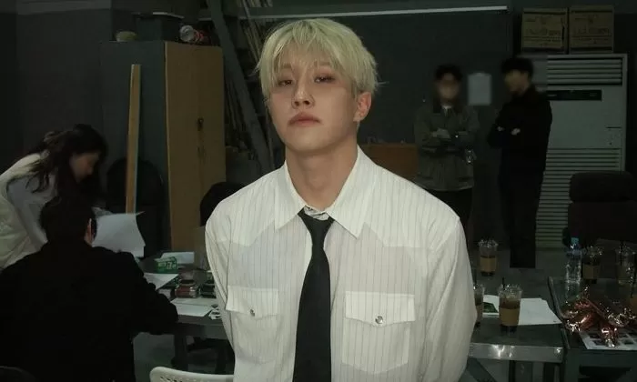 인사이트