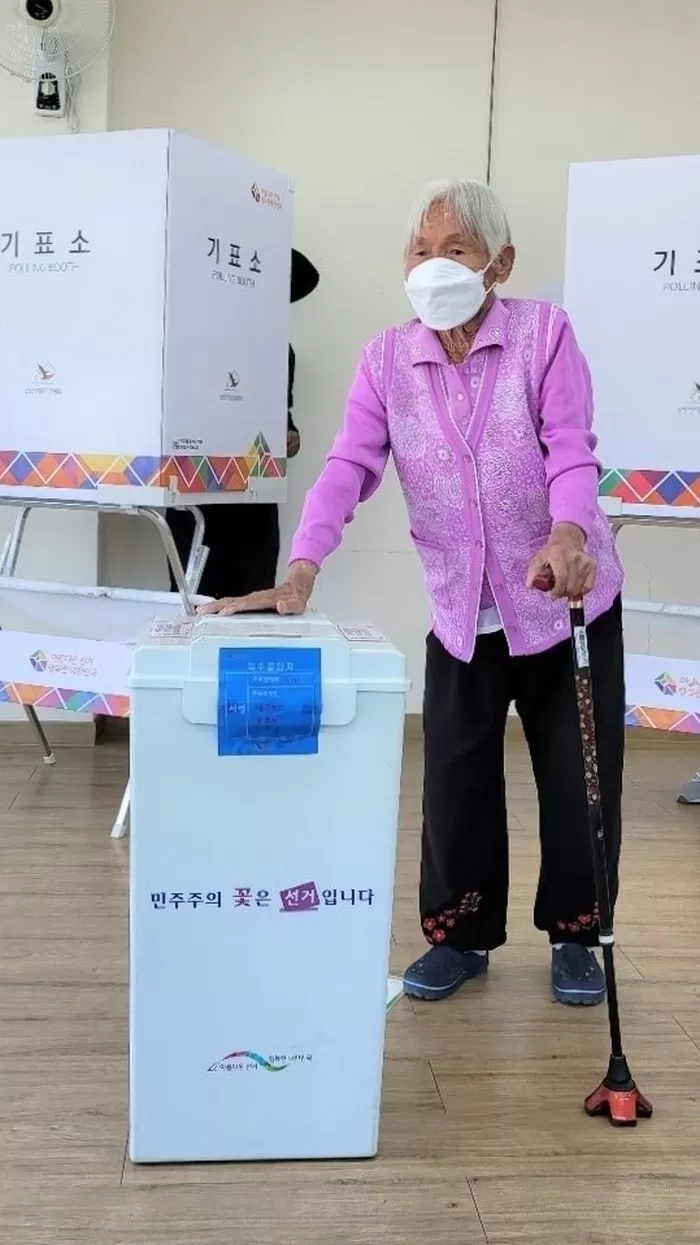 인사이트