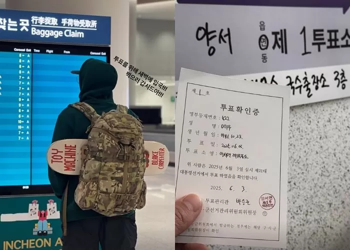인사이트