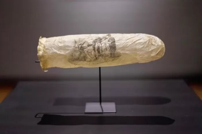 인사이트