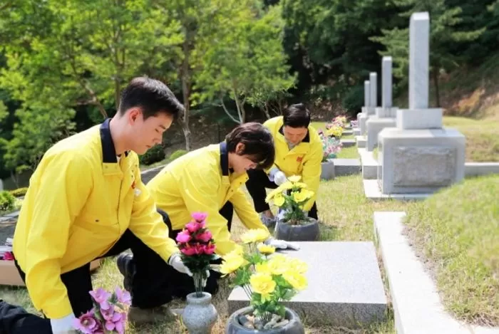 인사이트