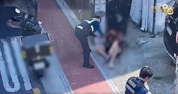 인사이트