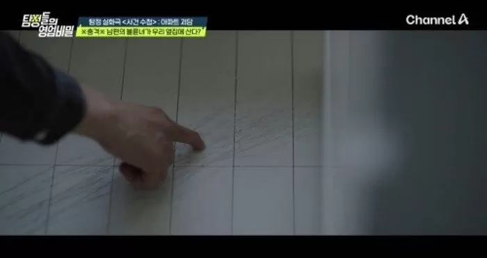 인사이트