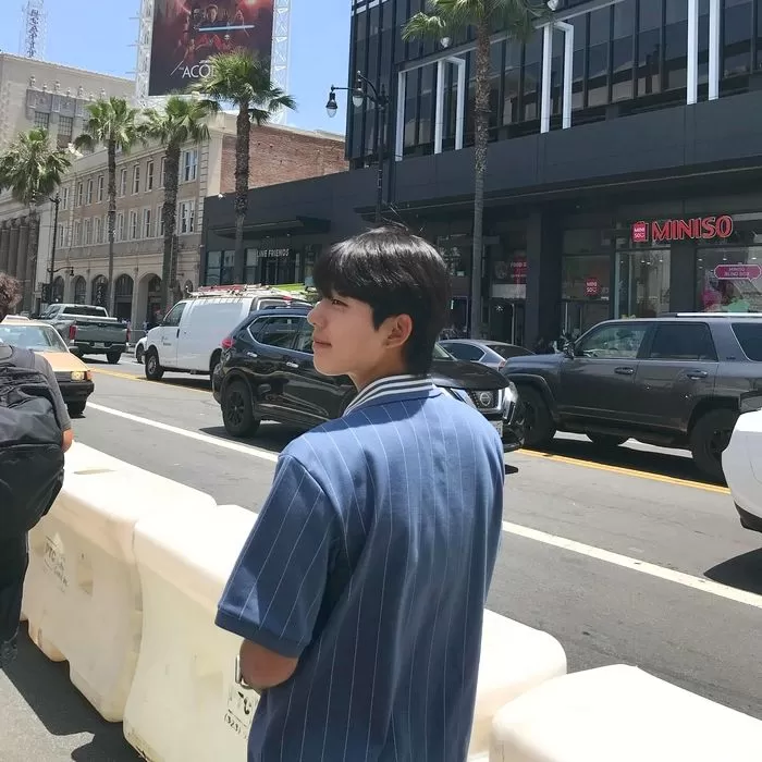인사이트