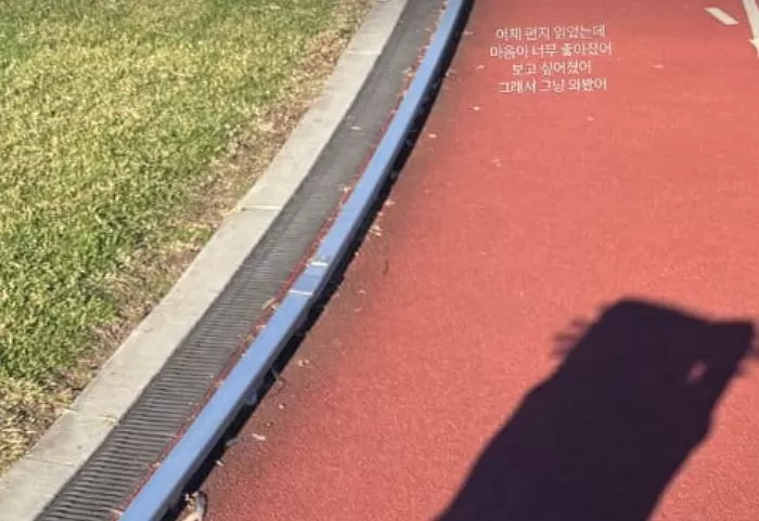인사이트