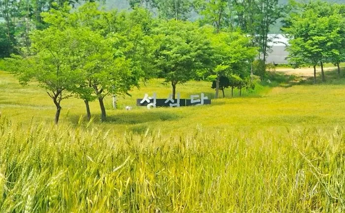 인사이트