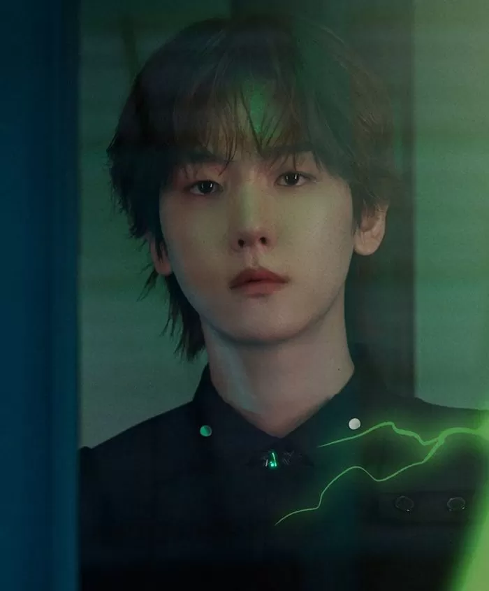 인사이트