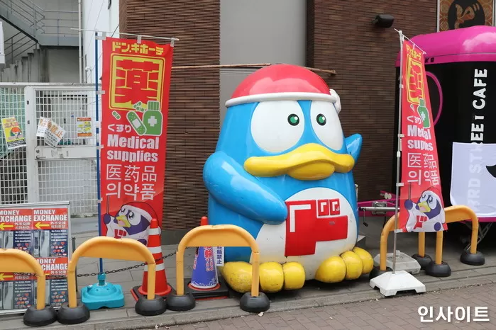 인사이트