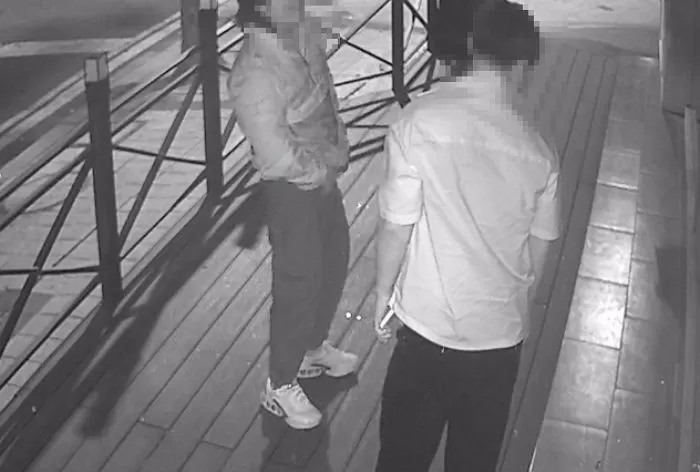 인사이트