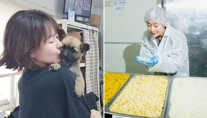 인사이트