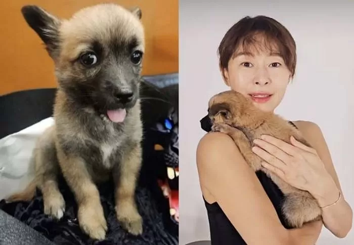 인사이트