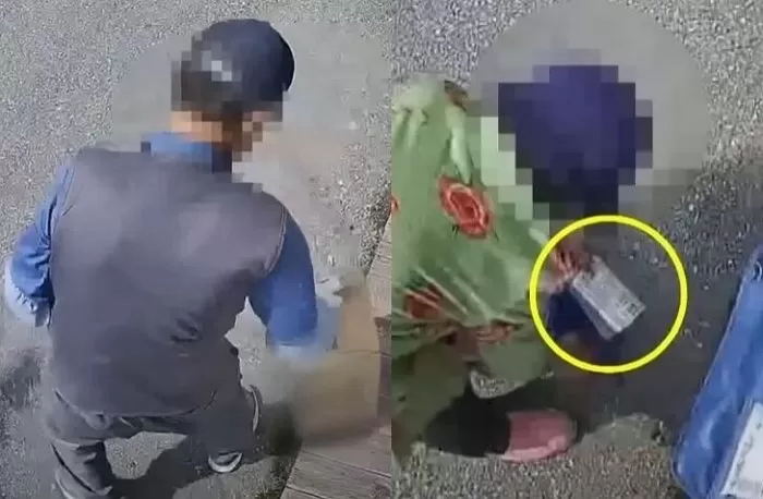 인사이트