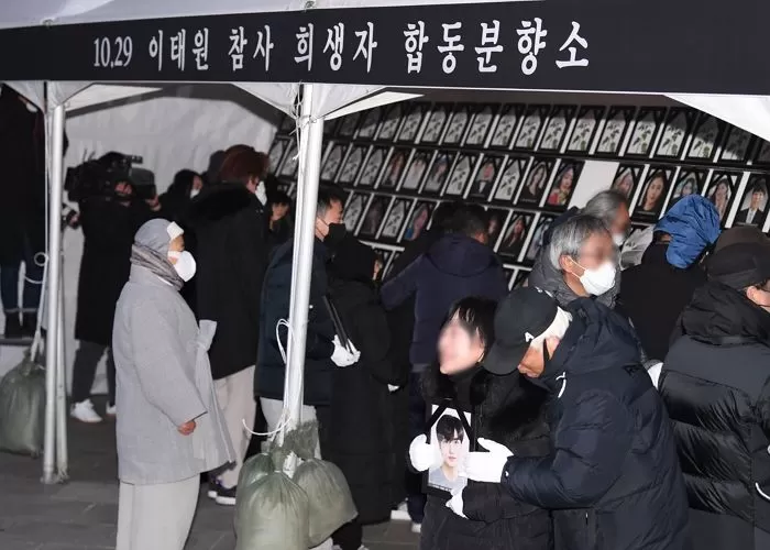 뉴스1