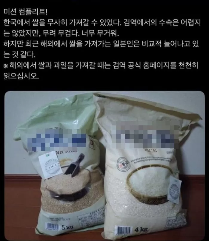 X 캡처