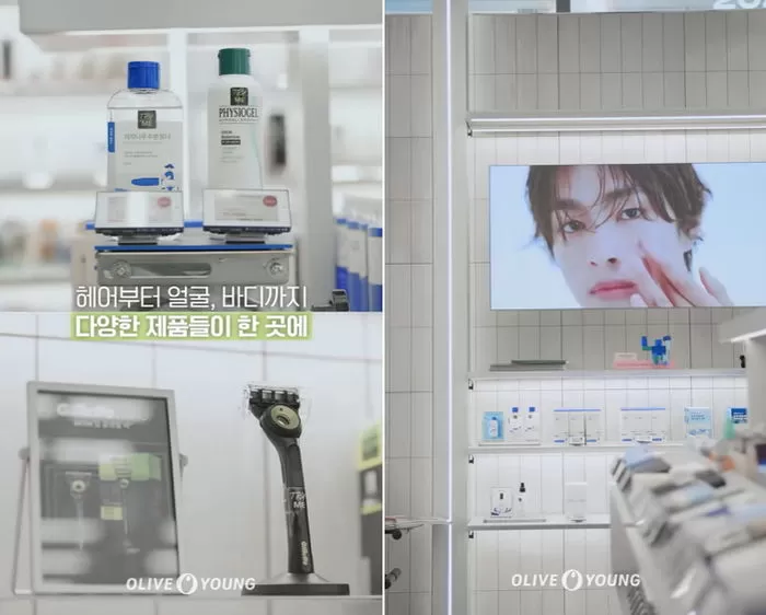 인사이트
