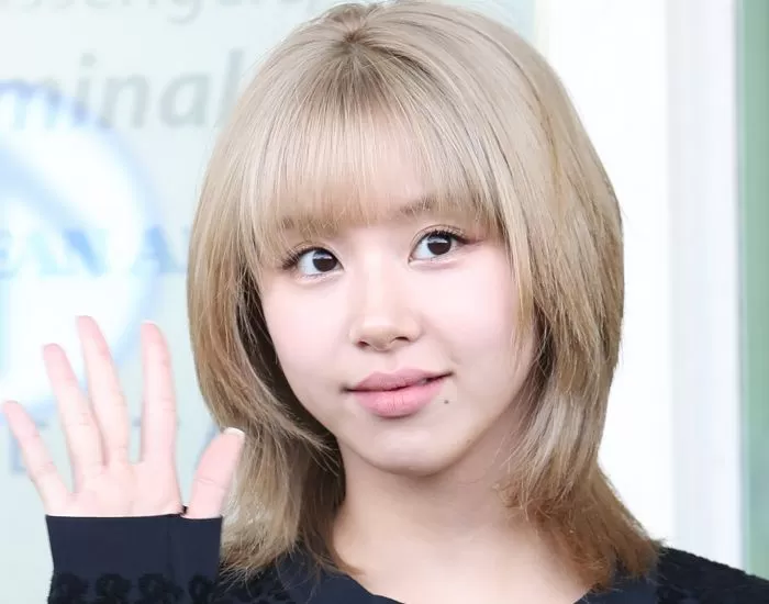 인사이트