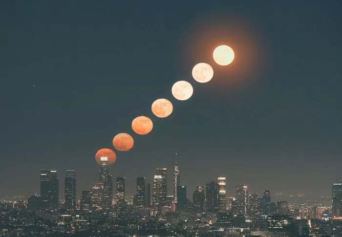 인사이트