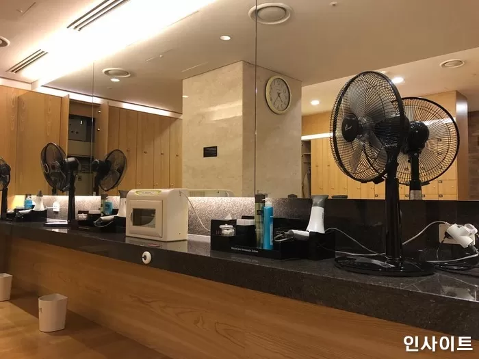 인사이트
