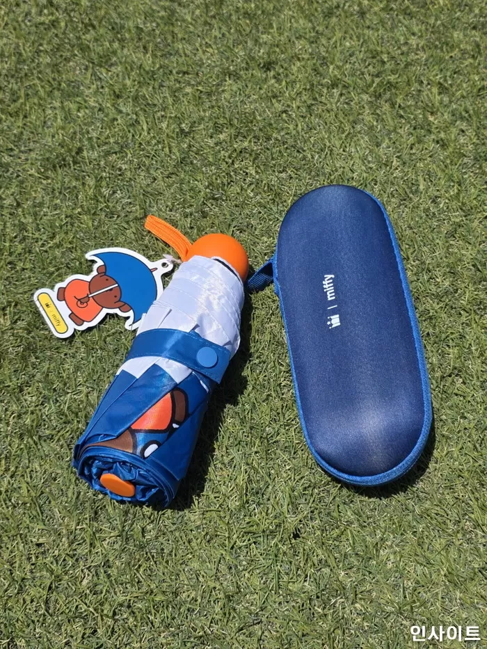 인사이트