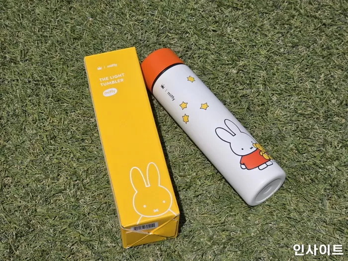 인사이트