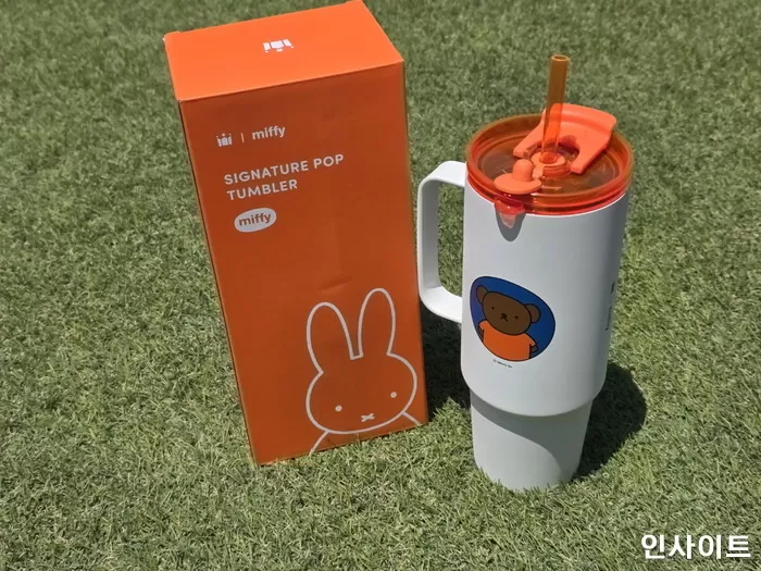 인사이트