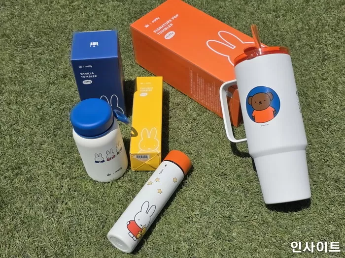 인사이트