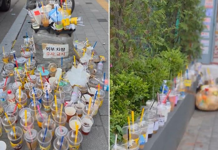 “성수동 ‘핫플’이래서 놀러갔다가 쓰레기만 보고 왔어요”... 쓰레기통 없는 성수동 근황