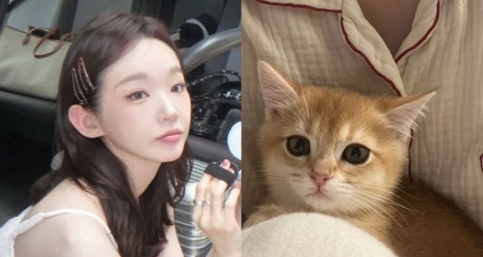 반려견 키우는 강민경, 친구 집 고양이 미모에 “심장 바사삭”