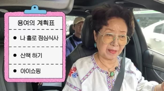 인사이트
