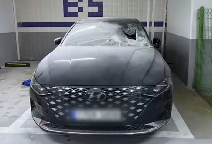 인사이트