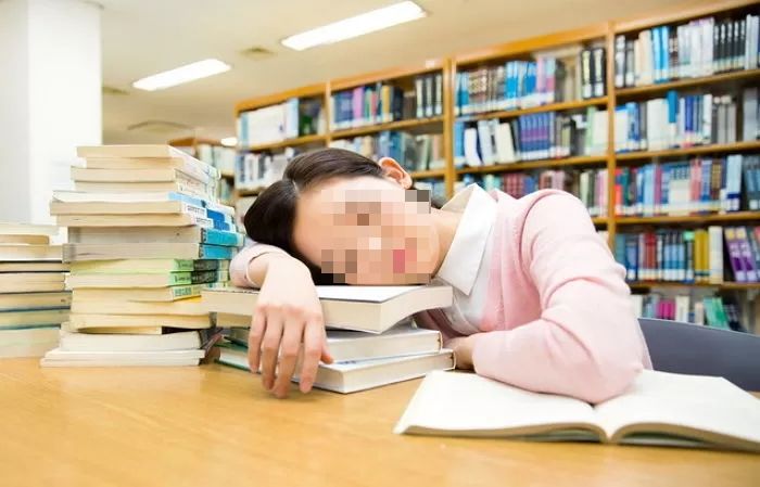 “공부해서 돈 얼마나 번다고”... 공부 안 하고 ‘틱톡 영상’ 찍겠다는 요즘 MZ들